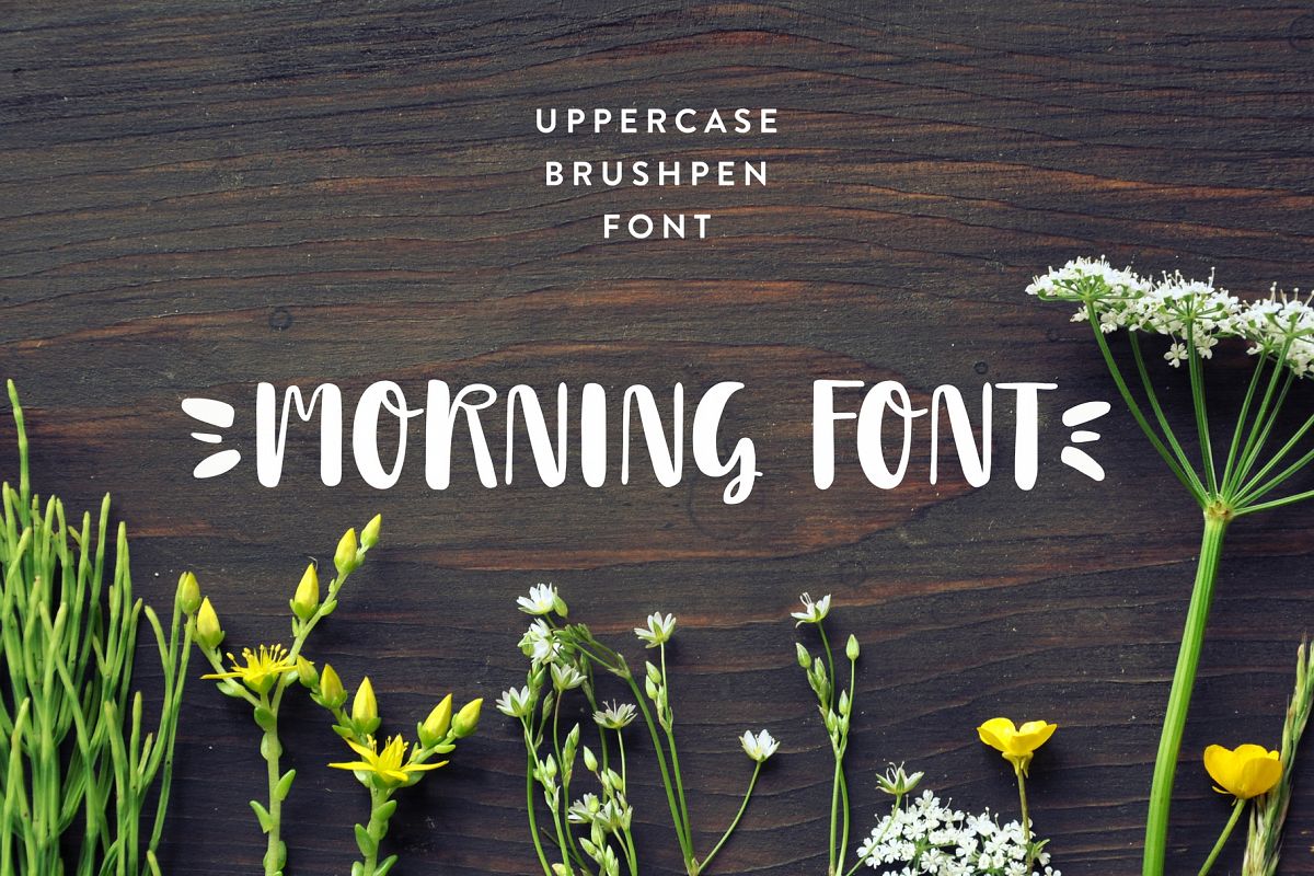 Morning Font example image 1