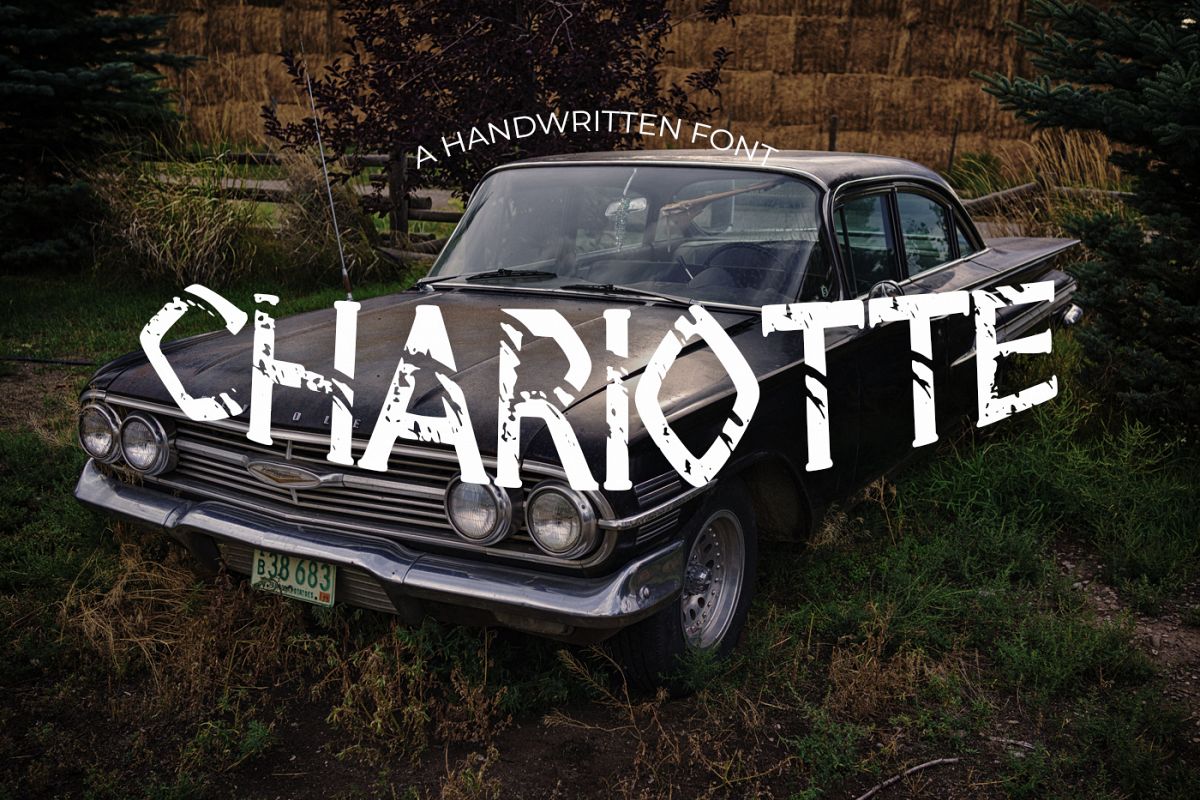 Chariotte example image 1
