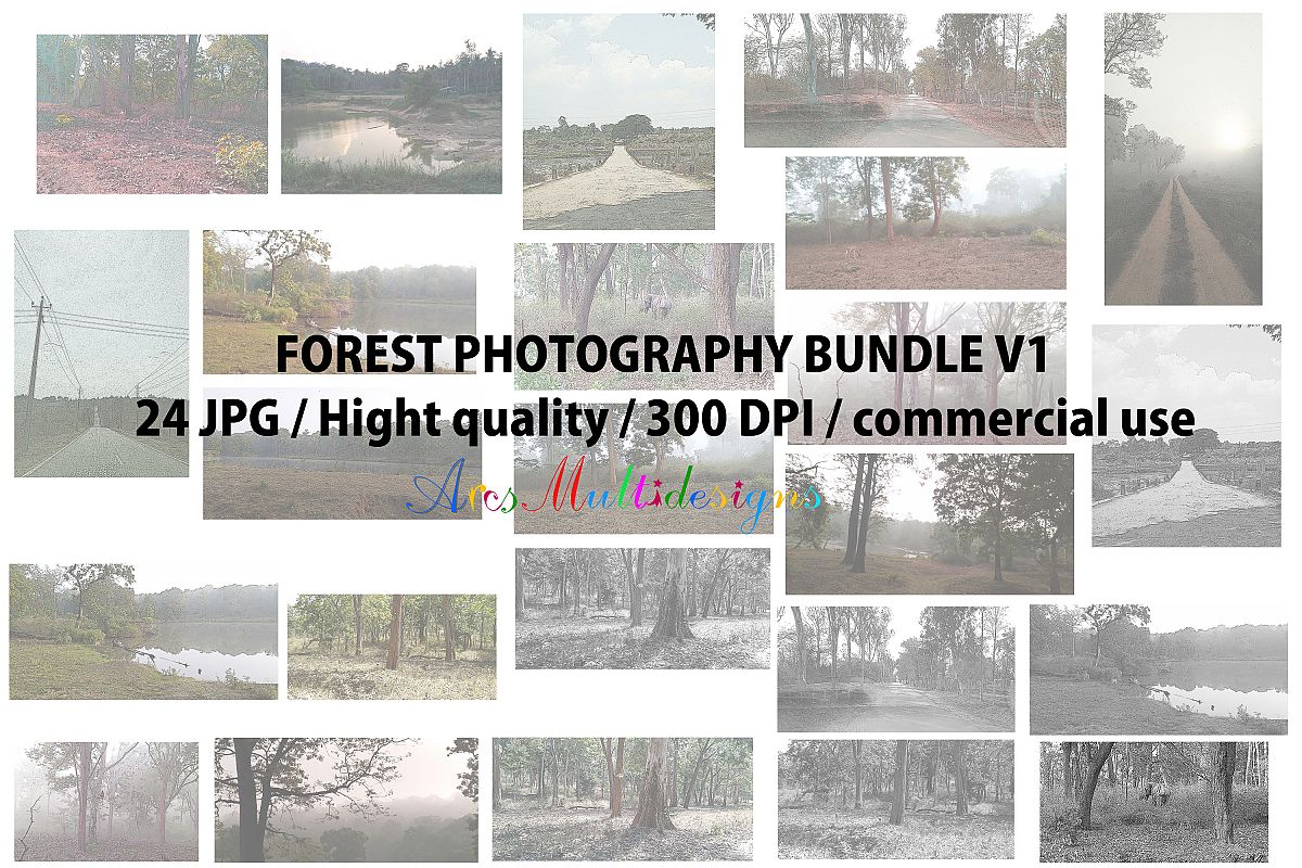 Forest pack photograhpy, commercial use and personal use example image 1