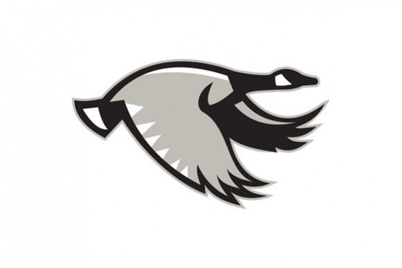Canada Goose Flying Retro example image 1