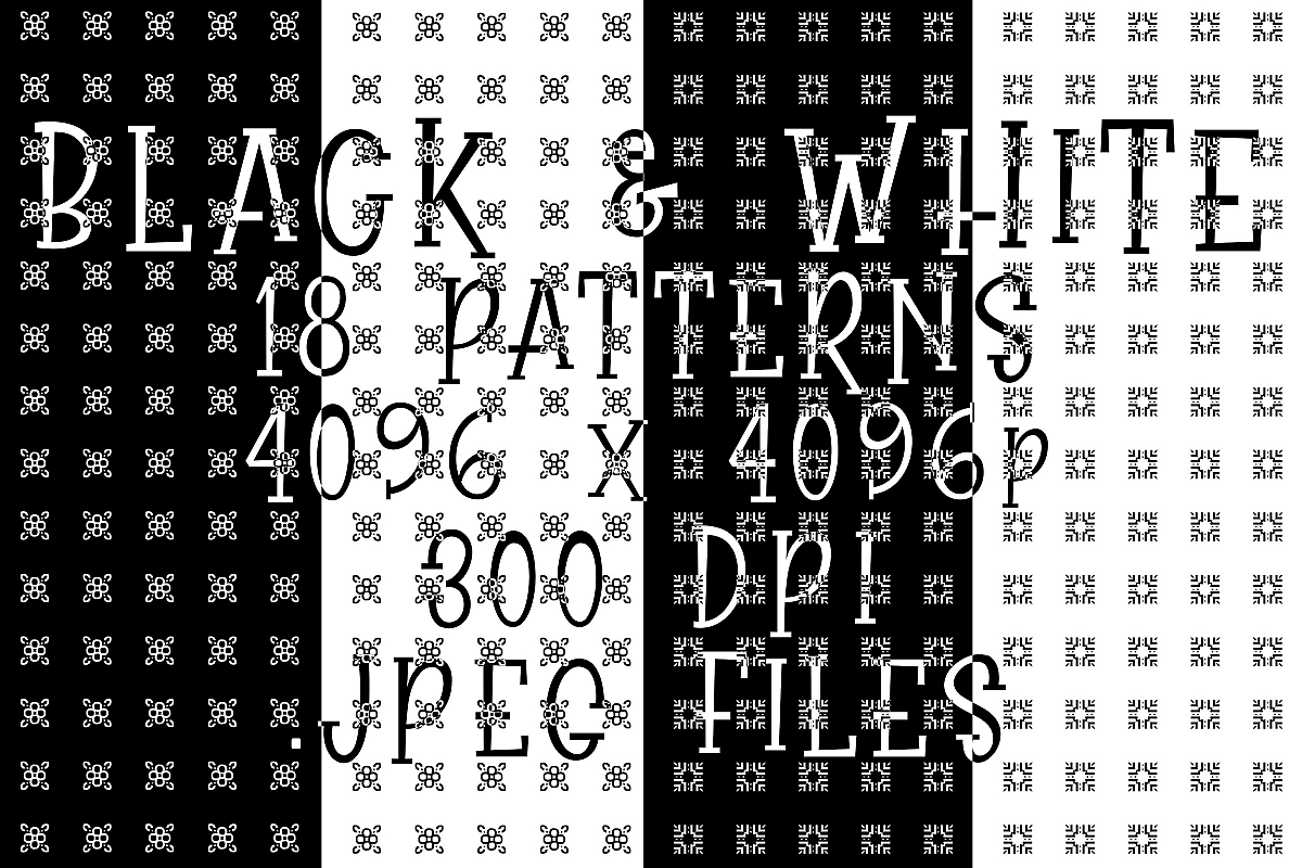 Black & White Elegance example image 1