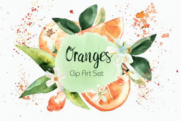 Watercolor Oranges Clipart + Wreath example image 1
