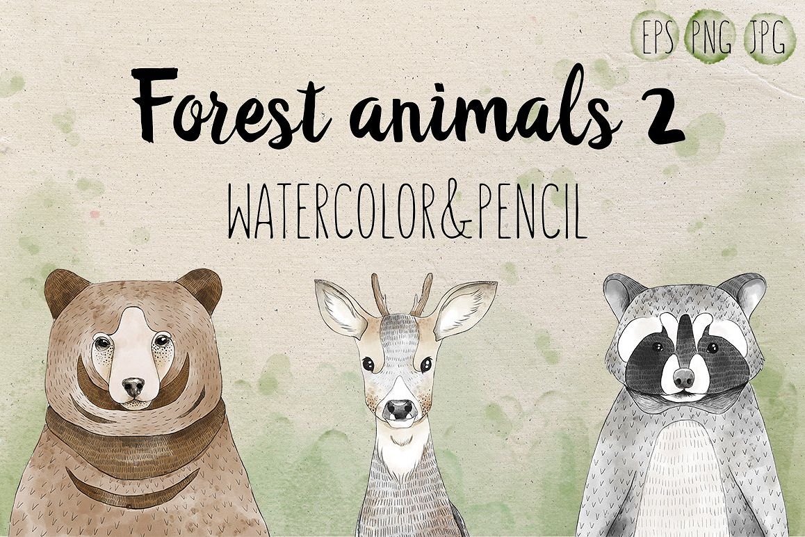 Woodland animals 2 example image 1