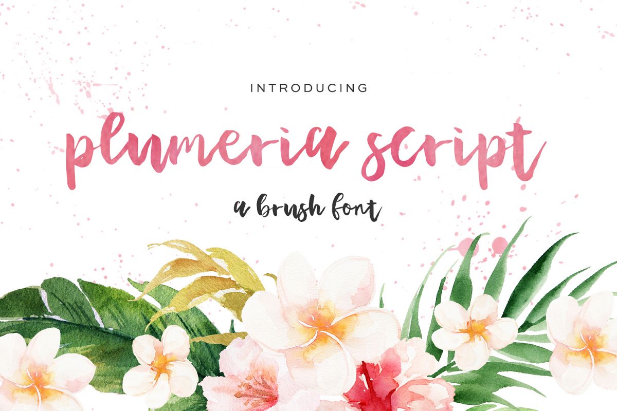 Plumeria Brush Script example image 1