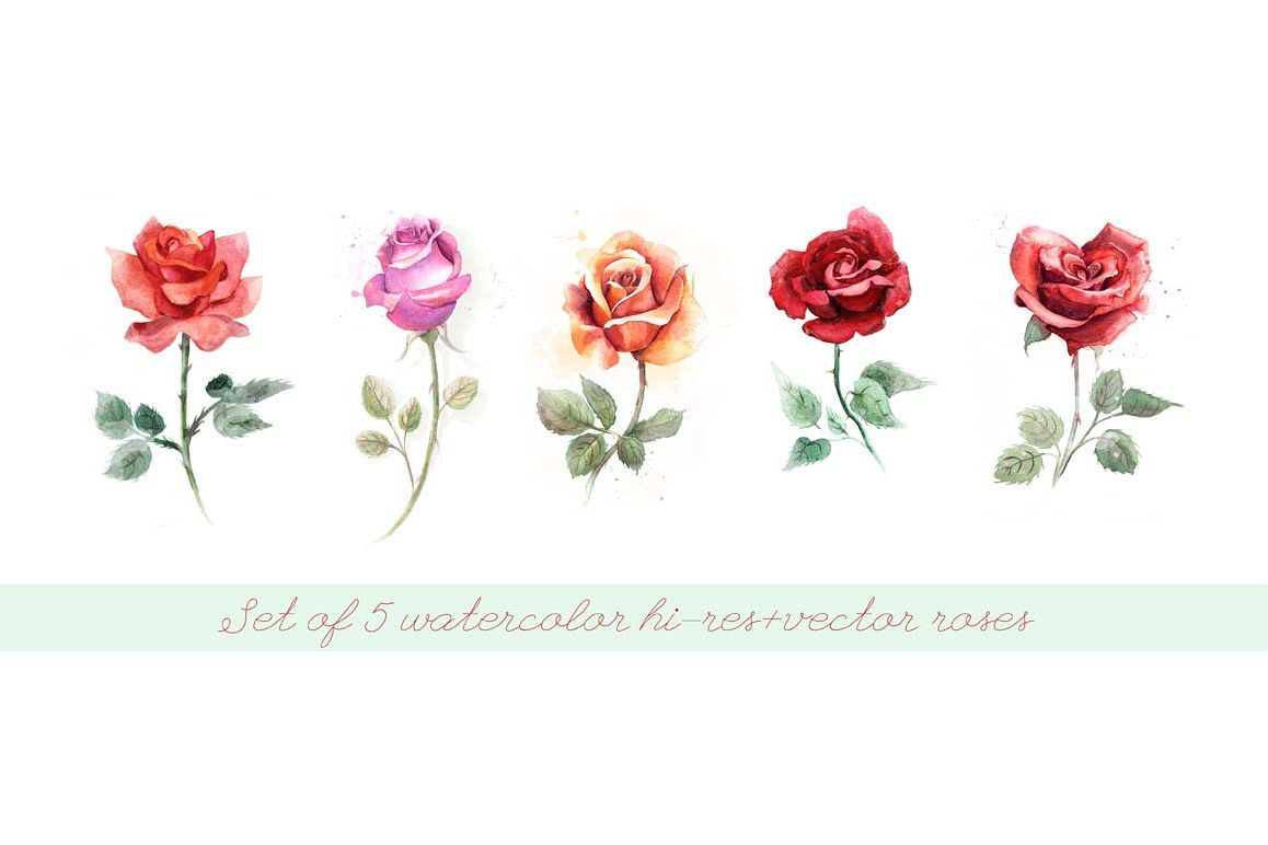 5 watercolor roses example image 1