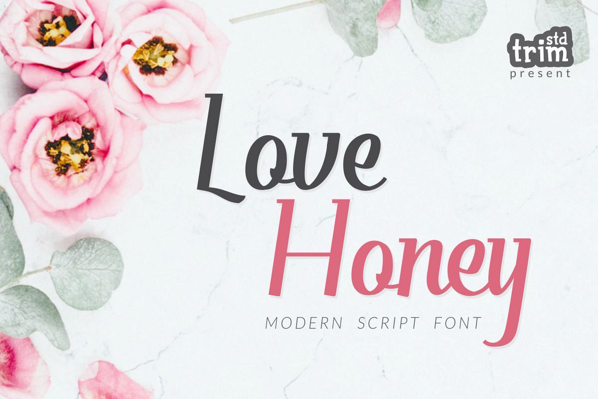 Love Honey - Modern Script Font example image 1