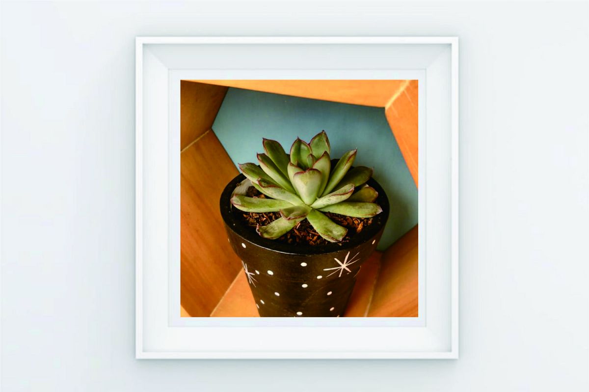 FRAME POSTER LINE STAR VAS CACTUS CACTUS example image 1