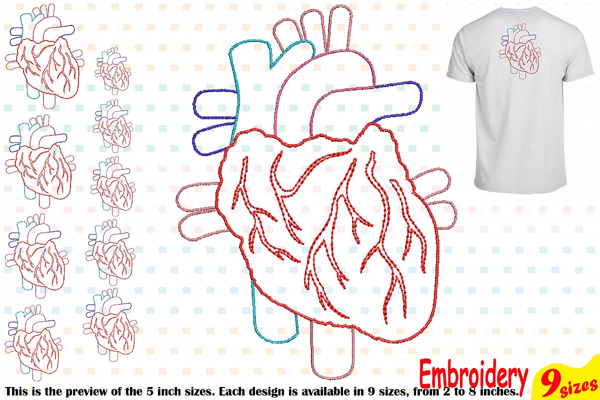 Heart Outline Embroidery Design Machine Instant Download digital file science school hospital biology Medic Organs Anatomy 202b example image 1