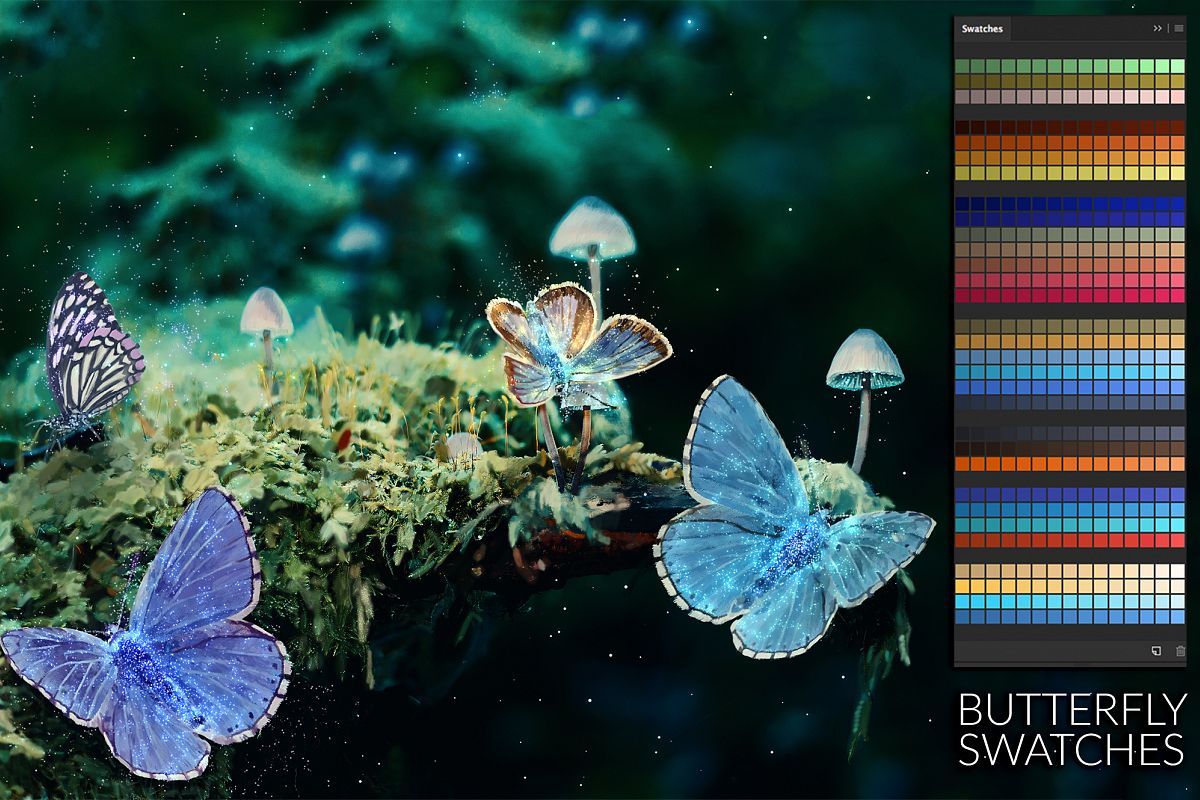 Butterfly Swatches example image 1