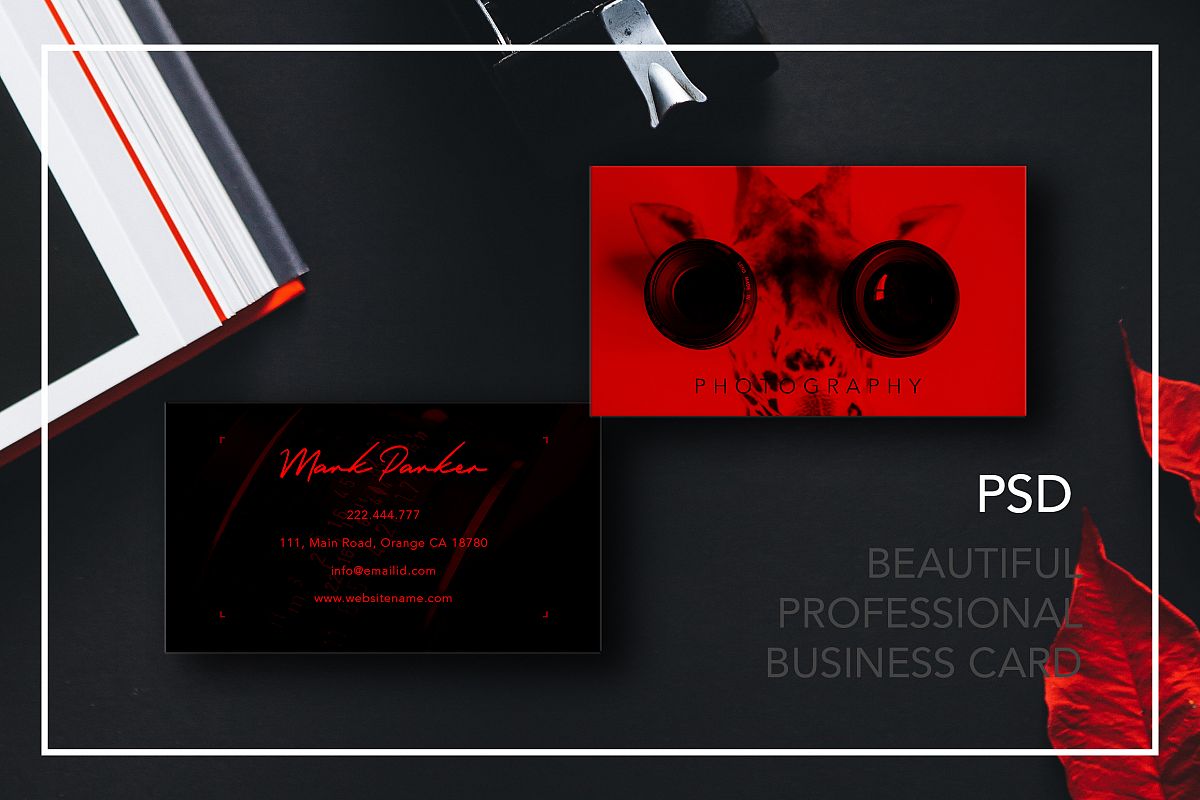 Professional Photography new business card example image 1