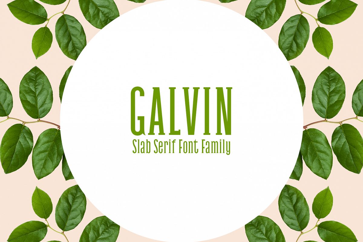 Galvin Slab Serif Font Family Pack example image 1