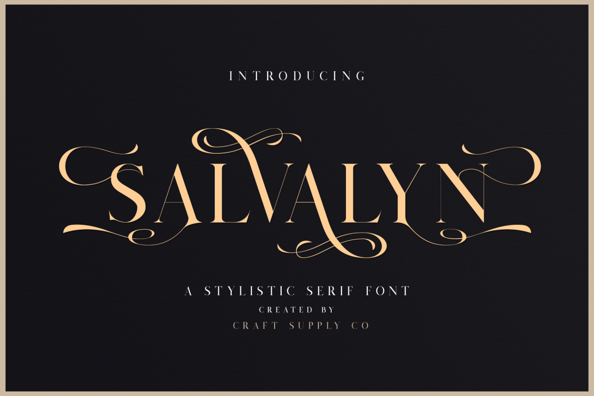 Salvalyn - Stylistic Serif Font example image 1
