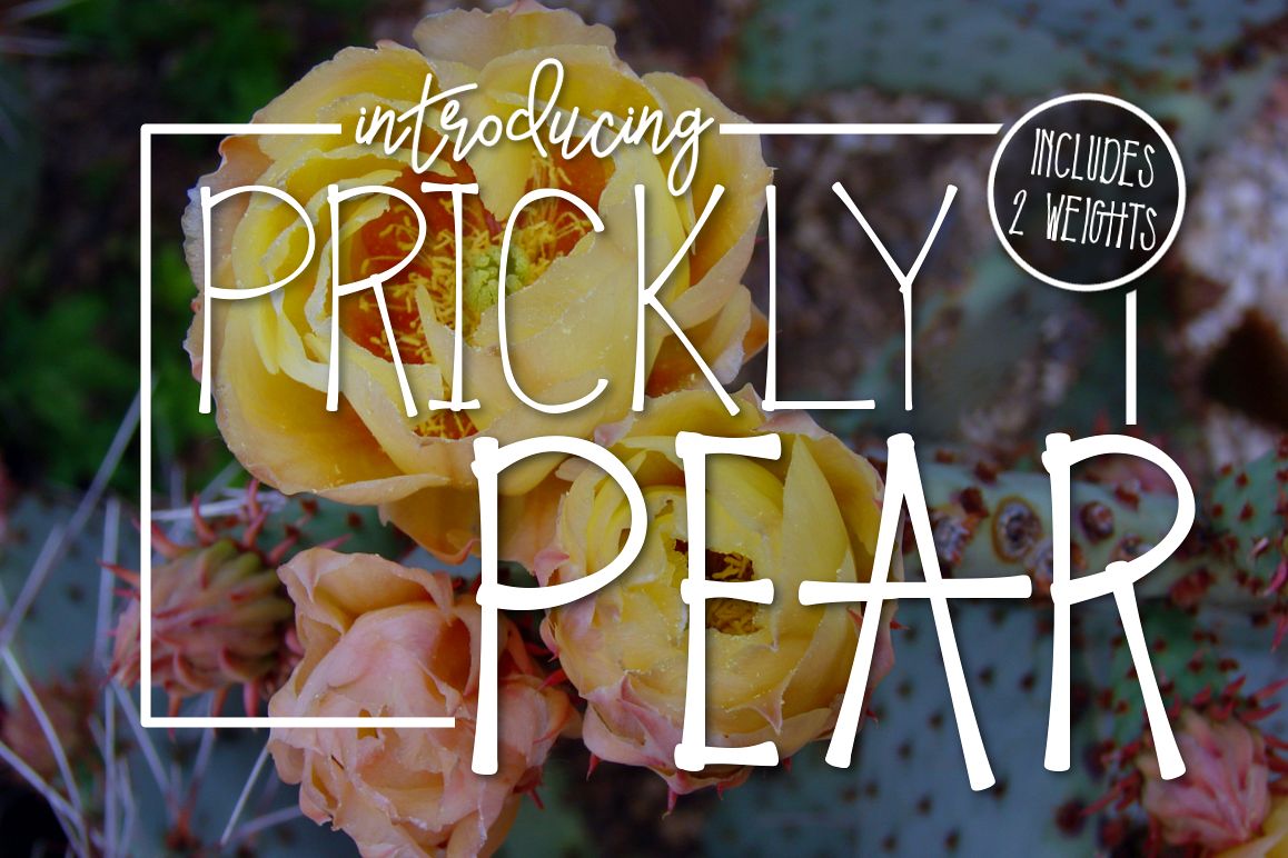 Prickly Pear Typeface example image 1