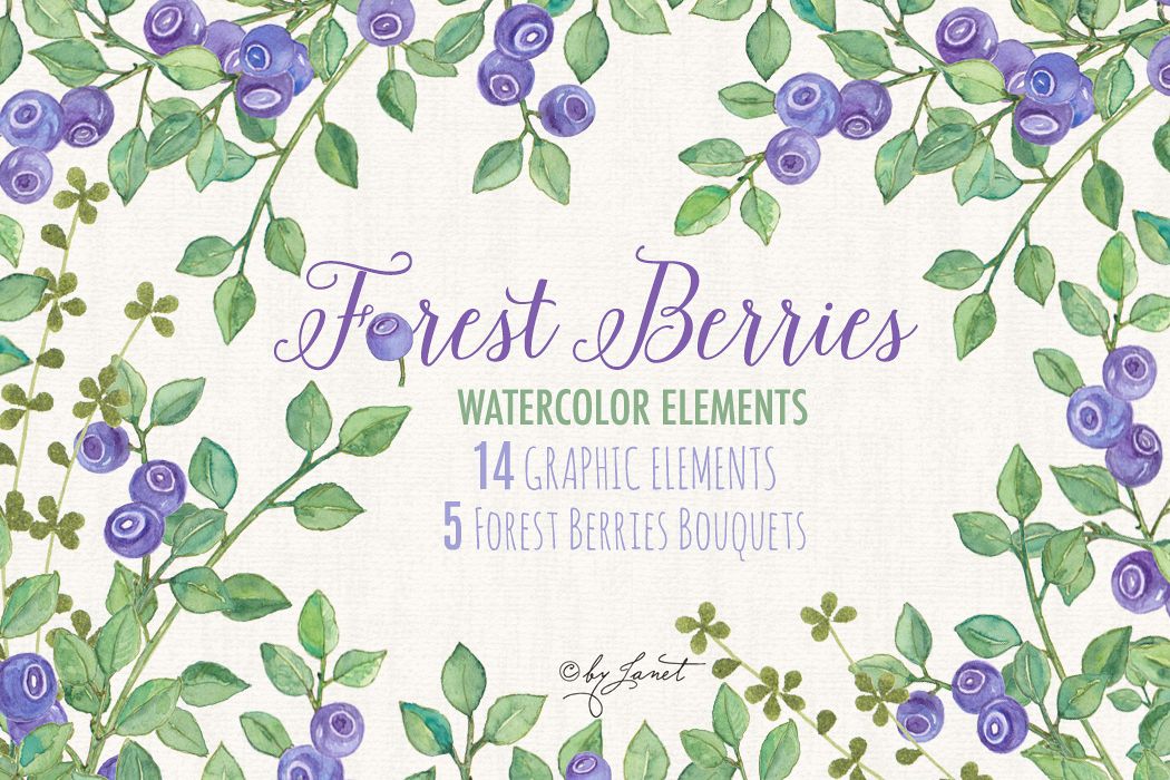 Forest Berries example image 1