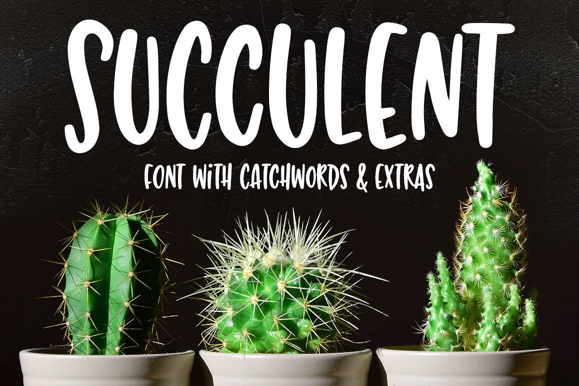 Succulent - a hand-lettered font! example image 1