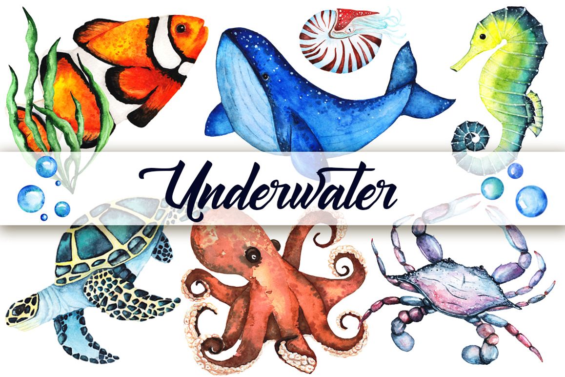 Watercolor set of sea animals example image 1
