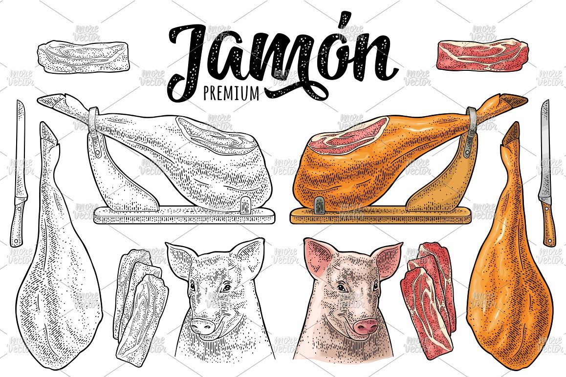 Set Jamon. Pig head, knife, ham slice, leg vintage engraving example image 1