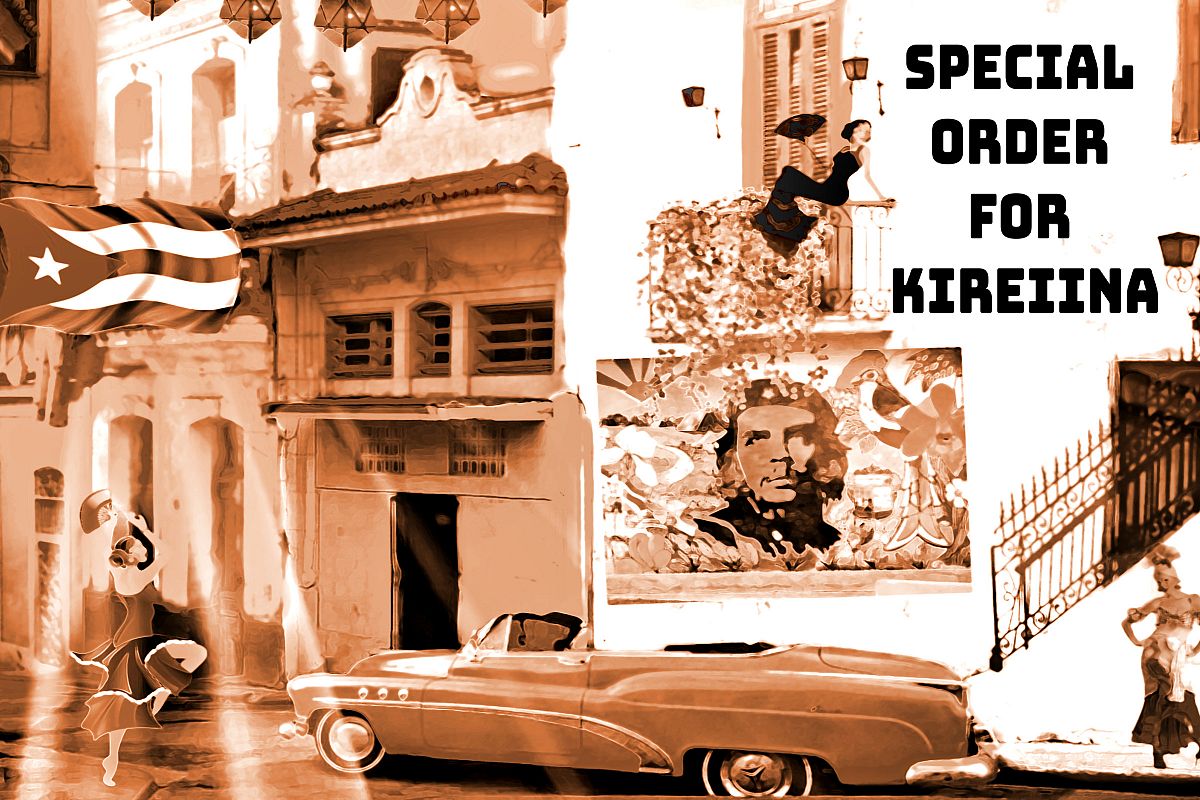 Special Order for Kireiina example image 1