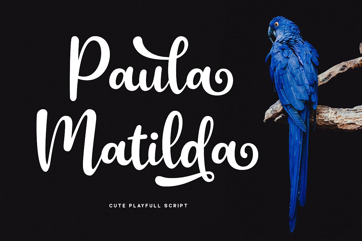 Paula Matilda Font example image 1