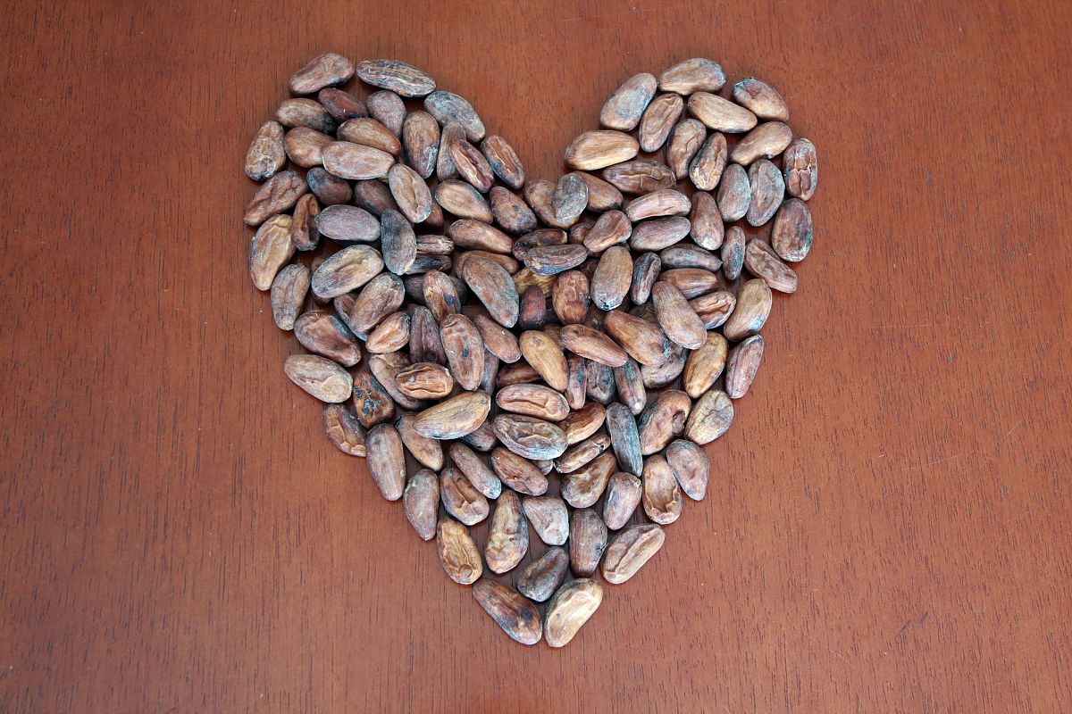 Cacao Beans in Heart Format example image 1