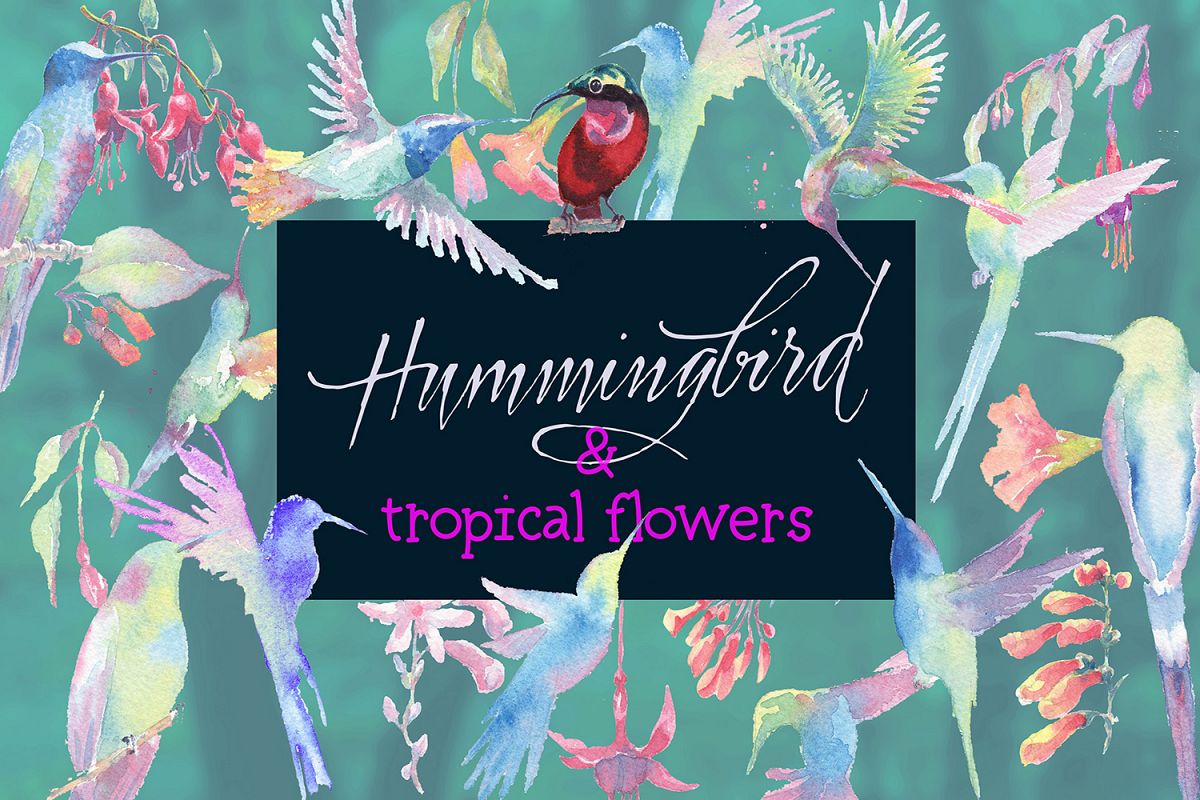 hummingbirds & tropical flowers watercolor clipart example image 1