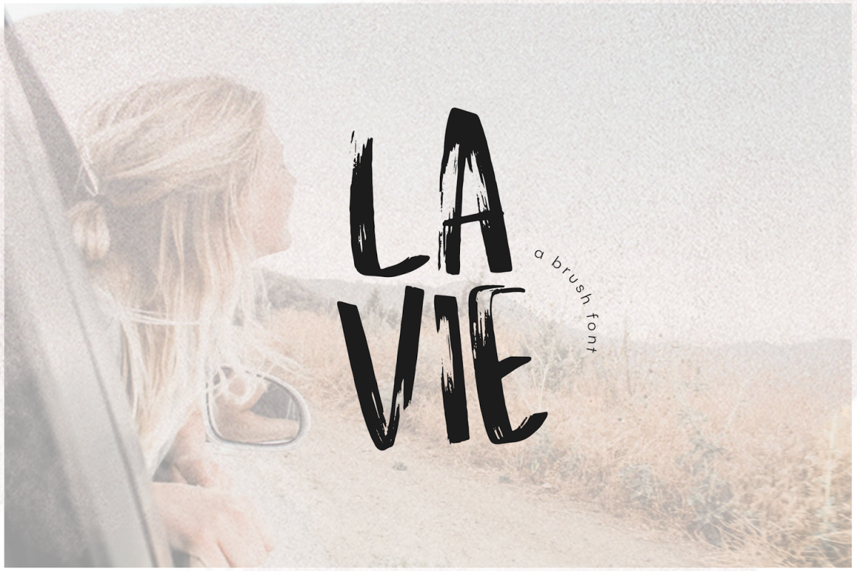 La Vie - A Handwritten Brush Font example image 1