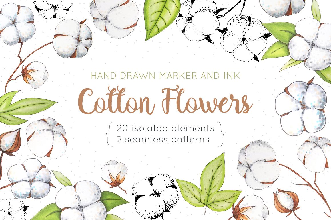 Cotton Flowers Handdrawn Set example image 1
