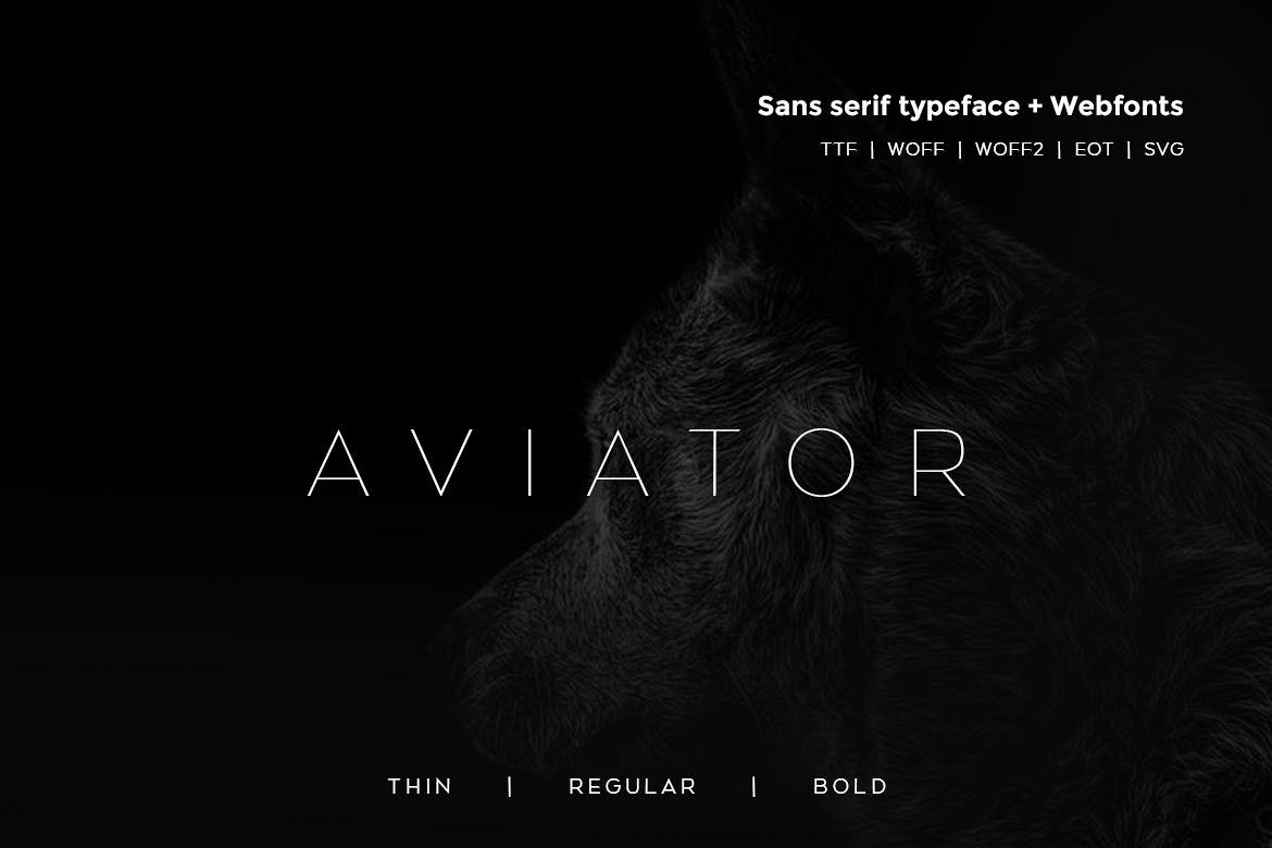 Aviator - Modern Typeface WebFont example image 1