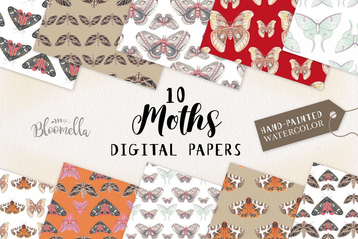 Moth Seamless Patterns Digital Papers Insect Moths Night