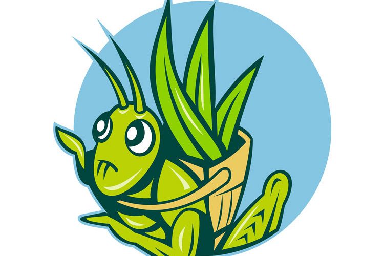 Grasshopper carrying basket with leaves example image 1