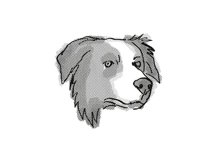 45-simple-easy-border-collie-drawing-l2sanpiero