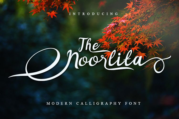 Noorlita example image 1