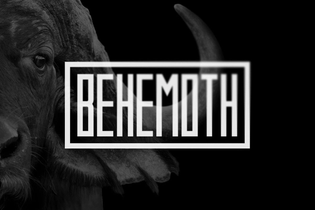 Behemoth Typeface example image 1