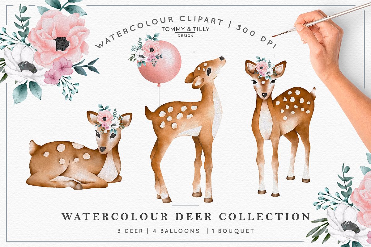Watercolour Deer Collection - Wedding Baby Flower Clipart PN example image 1