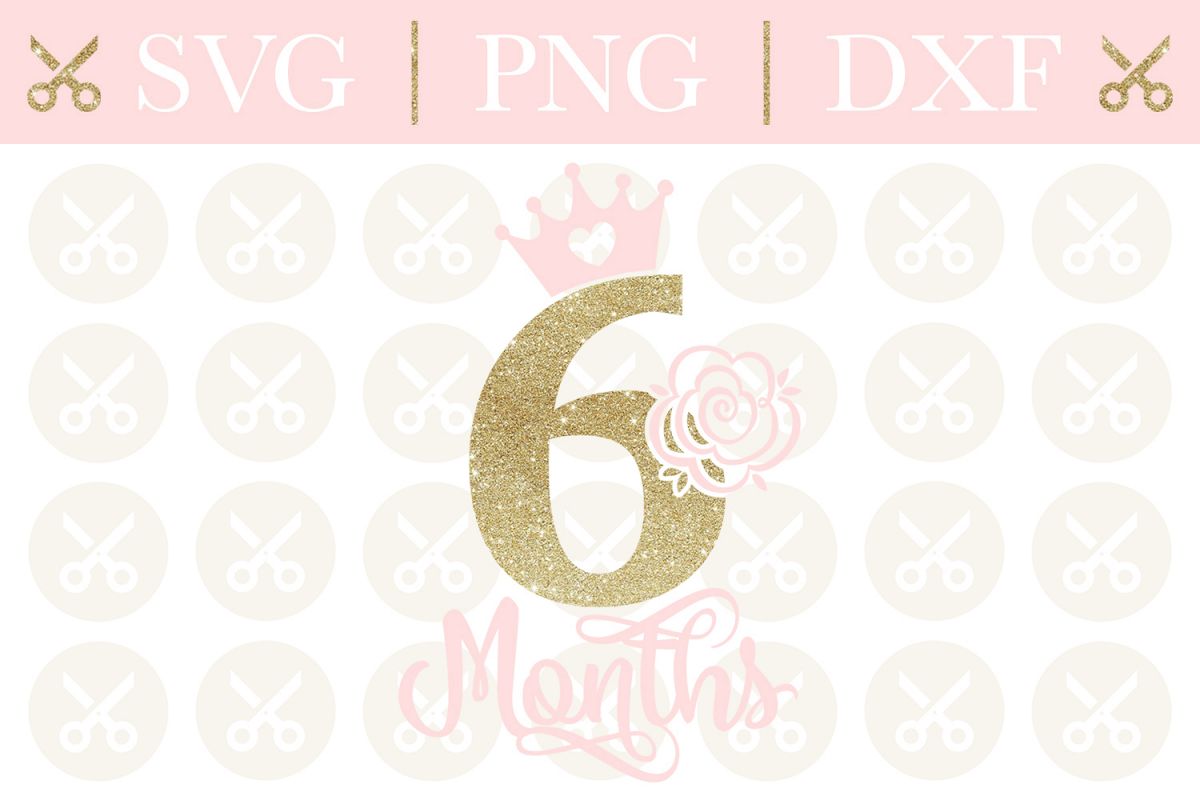Half Birthday Svg 6 Month Birthday Svg Girls Birthday Svg example image 1