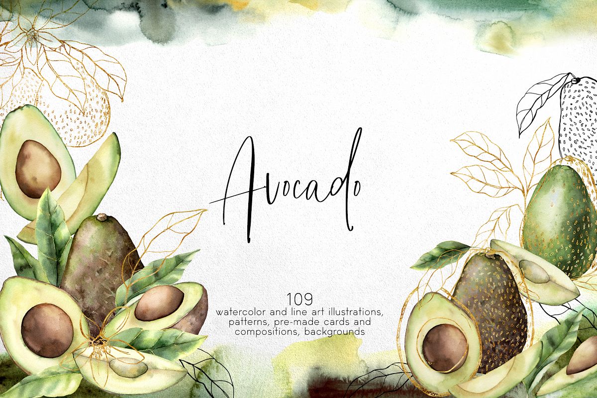 Avocado. Graphic collection example image 1