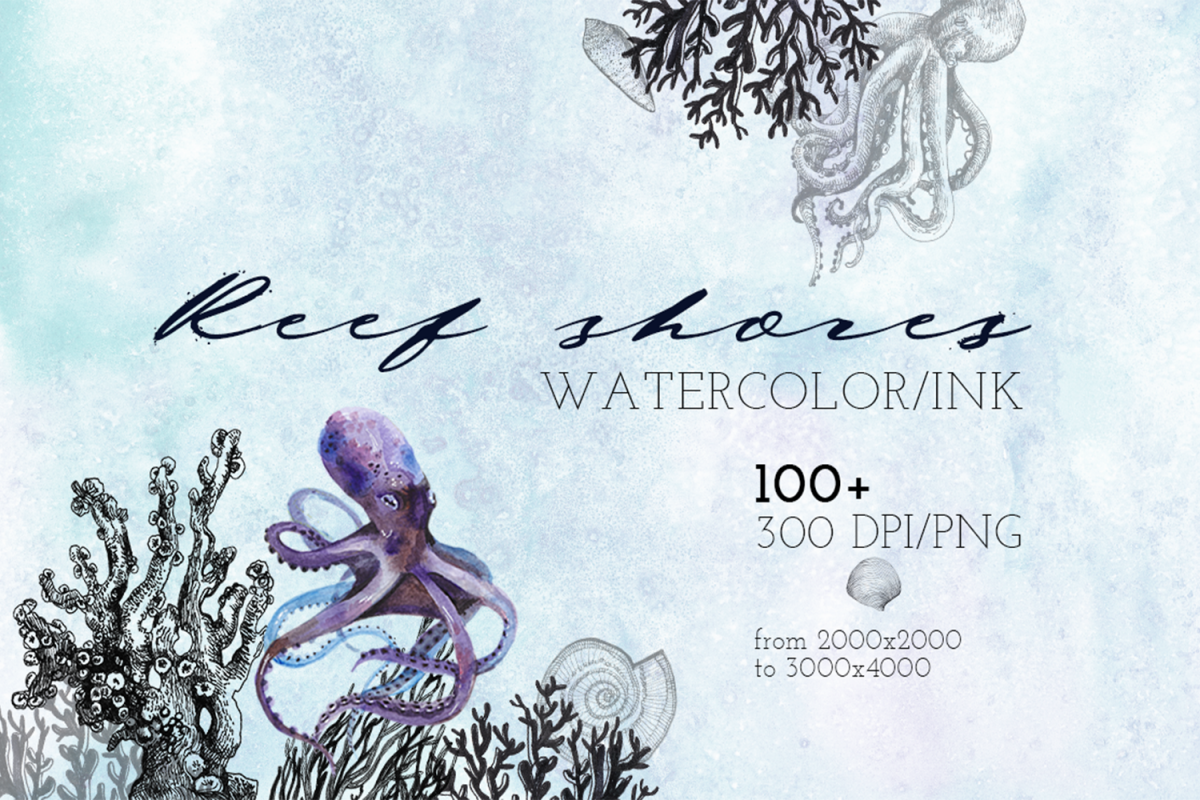 Reef shores example image 1
