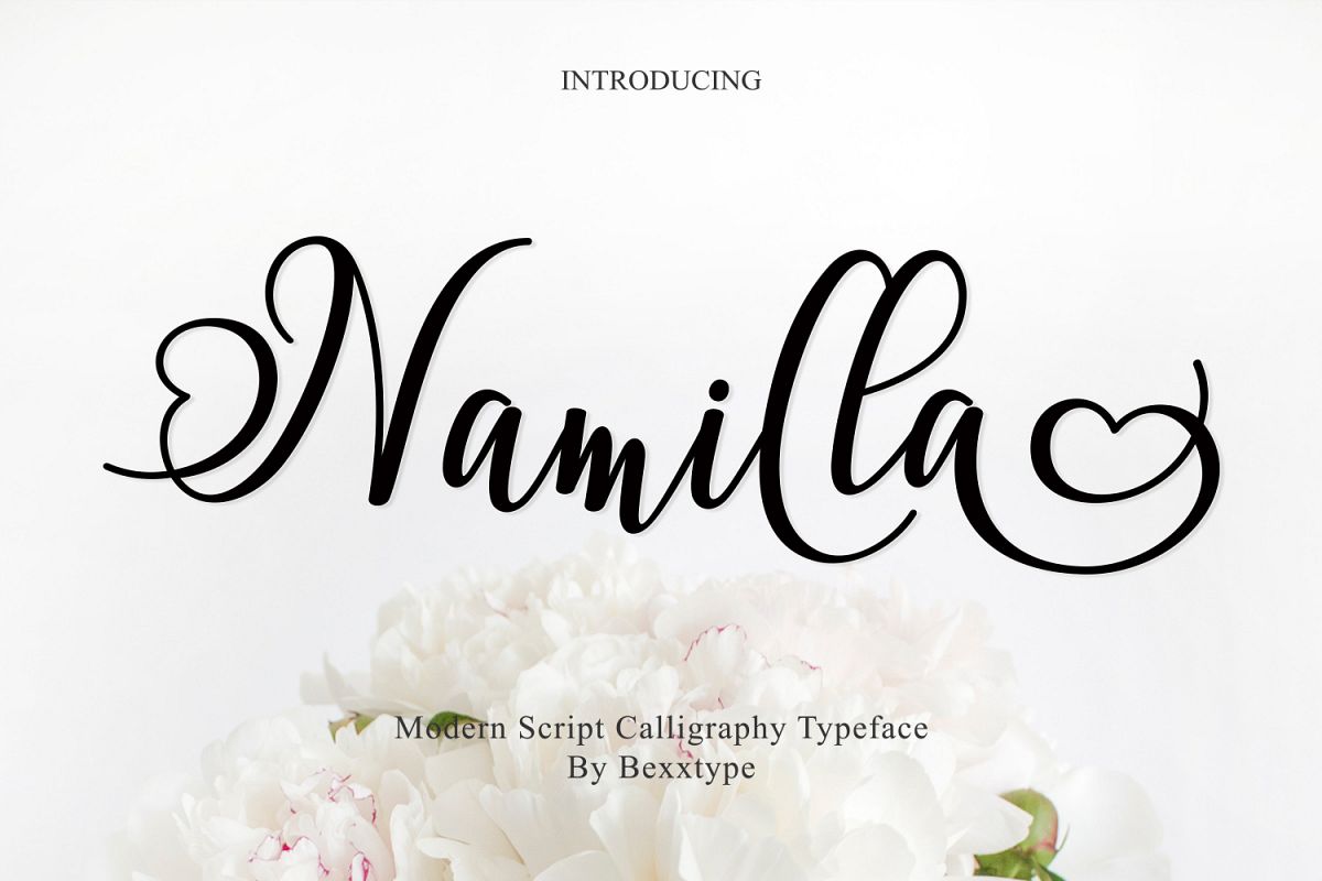 Namilla Script example image 1