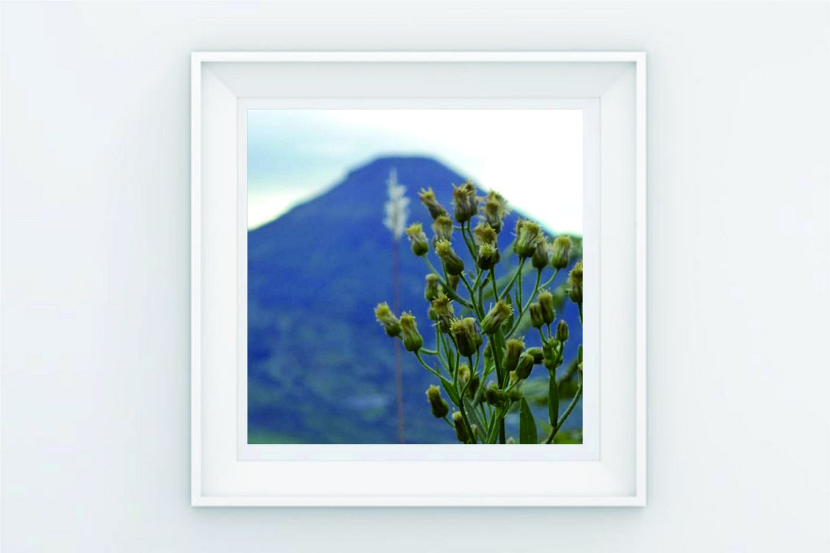 FRAME POSTER MORNING AT THE MOUNTAIN example image 1