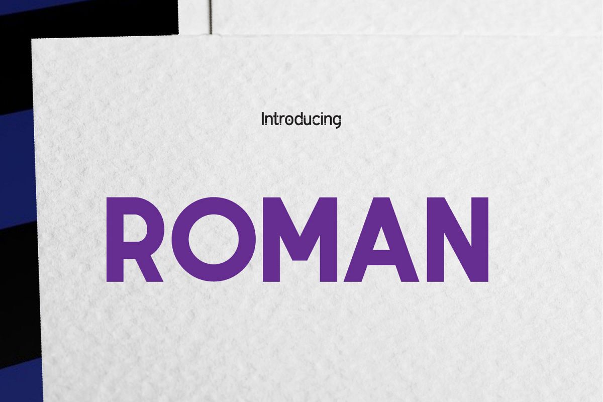 ROMAN example image 1