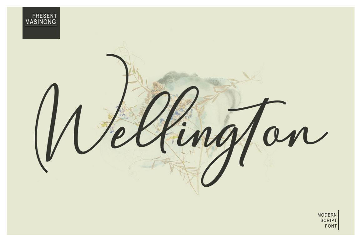 Wellington example image 1