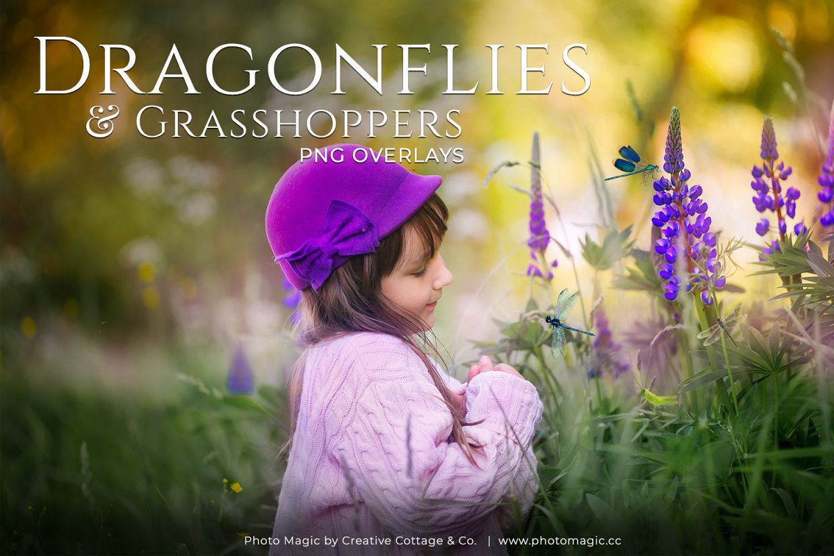 Fantasy Dragonflies & Grasshopper Photo Overlays example image 1
