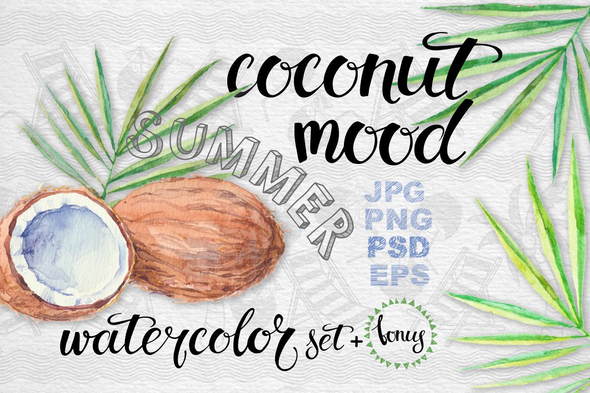 Coconut set example image 1