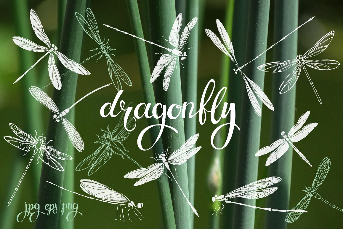 Dragonflies. example image 1