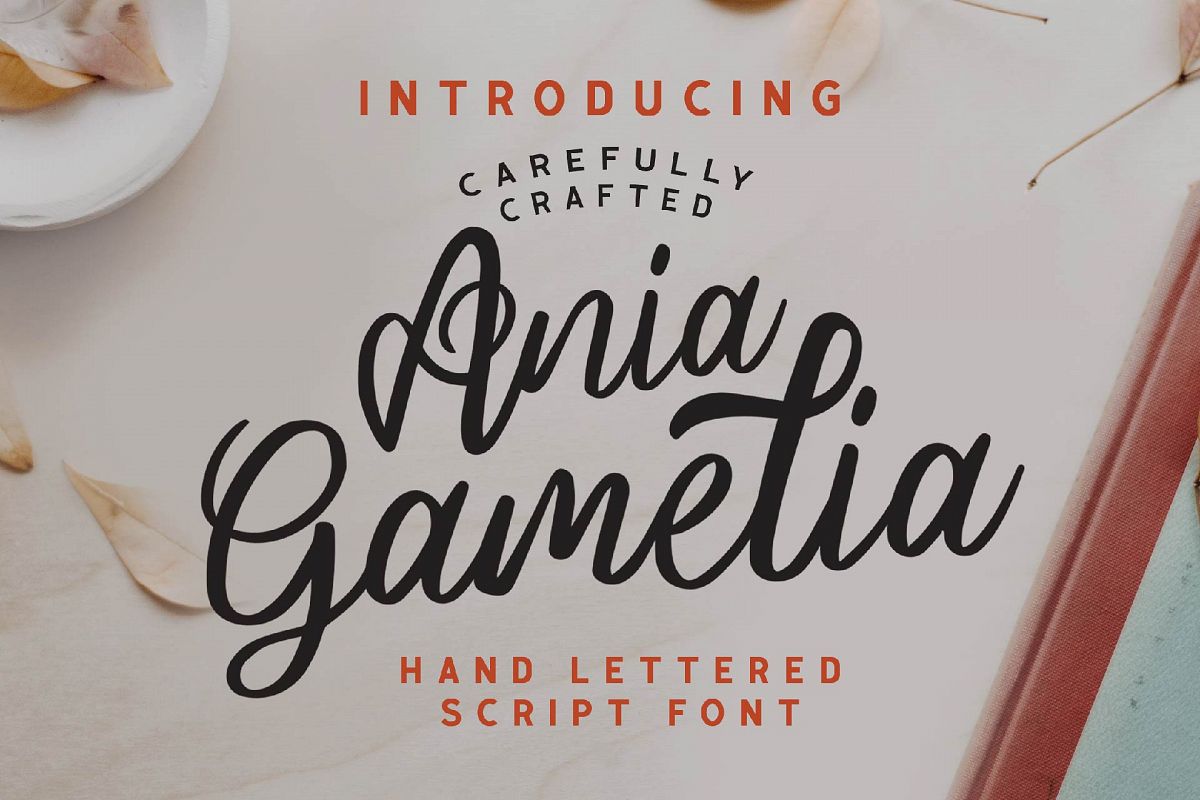 Ania Gamelia - Handlettering Script Font example image 1