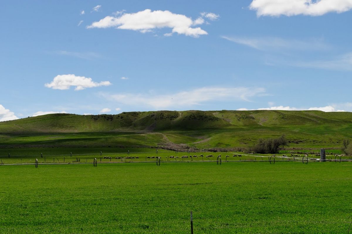 DIGITAL PHOTOGRAPHY example image 1