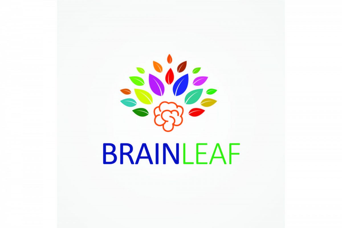 Brain Leaf Logo Template example image 1