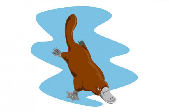 Platypus Diving example image 1