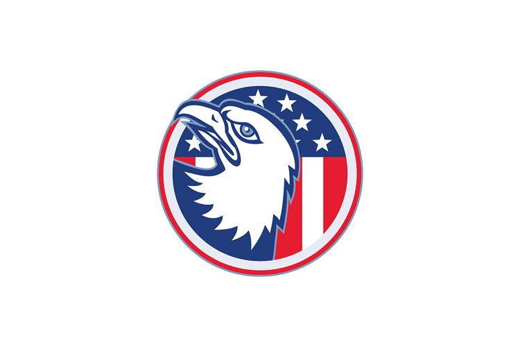 eagle head american stars stripes flag example image 1