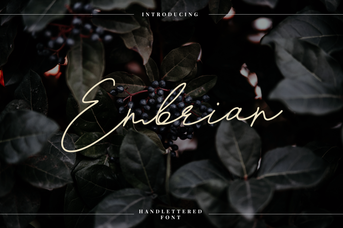 Embrain example image 1